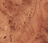 167.jpg